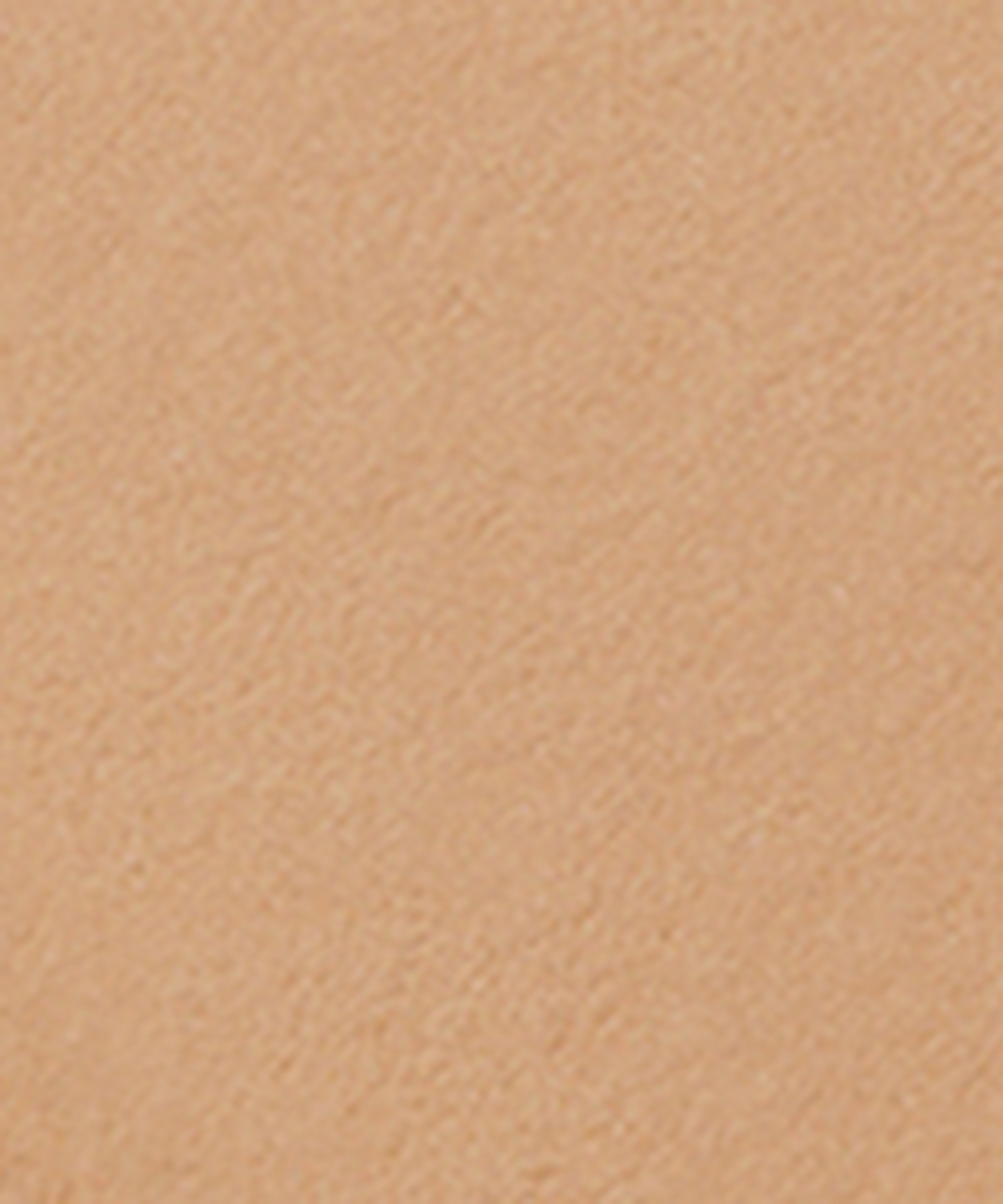 Vanish Airbrush Pressed Powder 10.5g